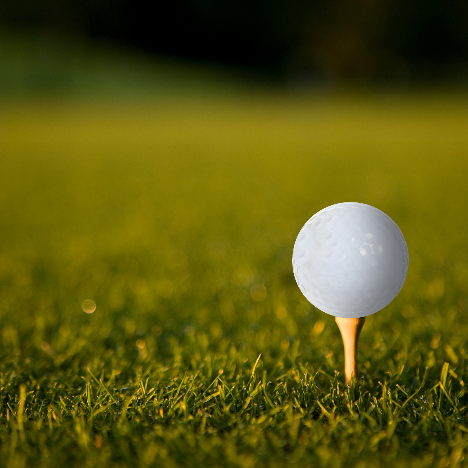 Golf Equipment For Beginners - İç Mekan Pratik Golf Topları Ekipmanları